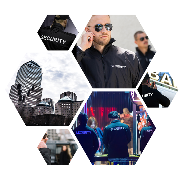website_hexagon
